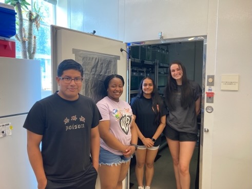Wund fishbehaviorexperiment